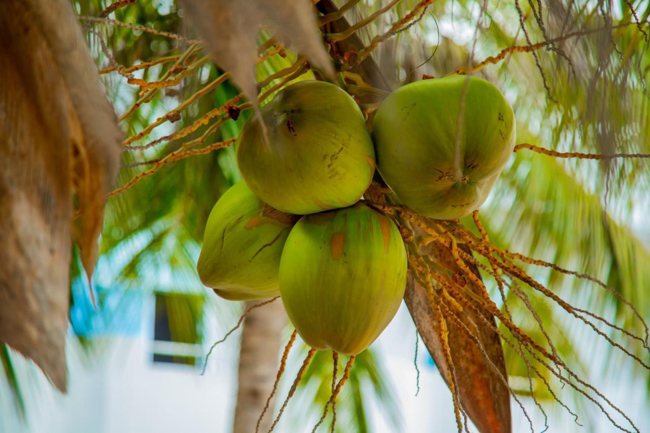 Pwani Beach Boutique Hotel Zanzibar Pwani Mchangani Exteriör bild